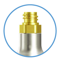 Screw In cylinder valve